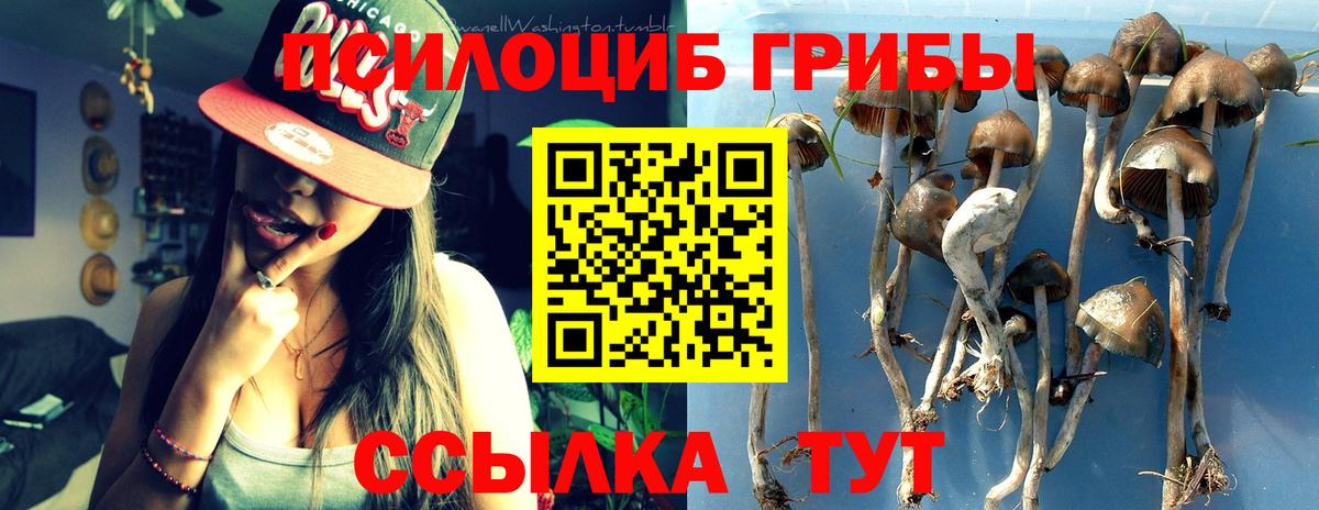 Туапсе  Псилоцибиновые грибы мицелий  Вход с VPN 