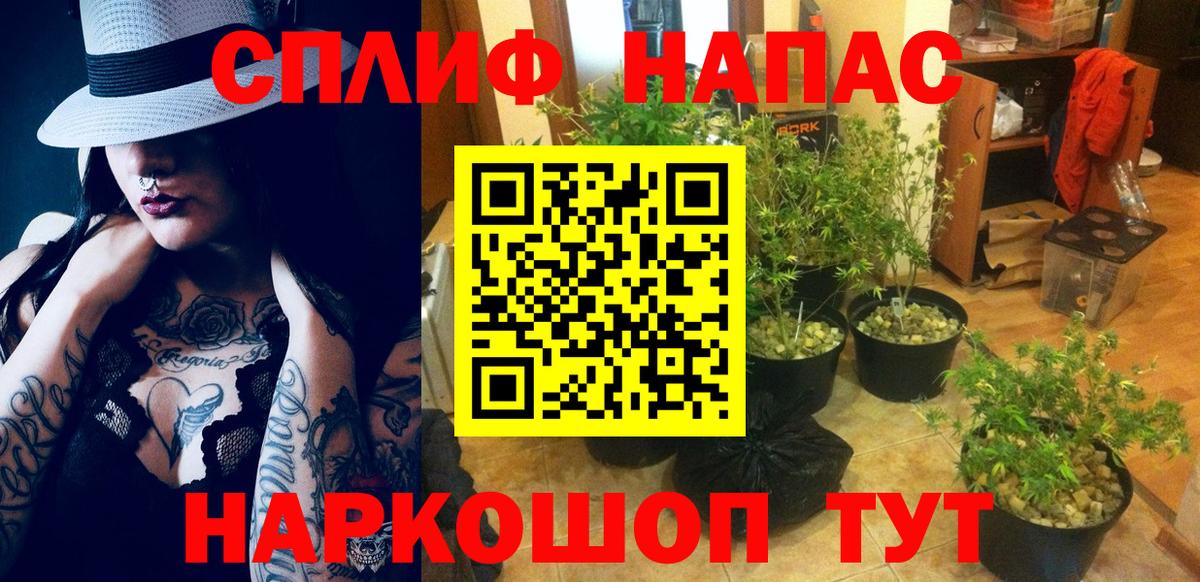 Марихуана Bruce Banner Туапсе